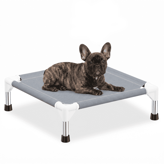 Caghash Elevated Raised Stainless Steel Frame Outdoor & Indoor Dog Bed, Small: 20 x 20 x 5-in