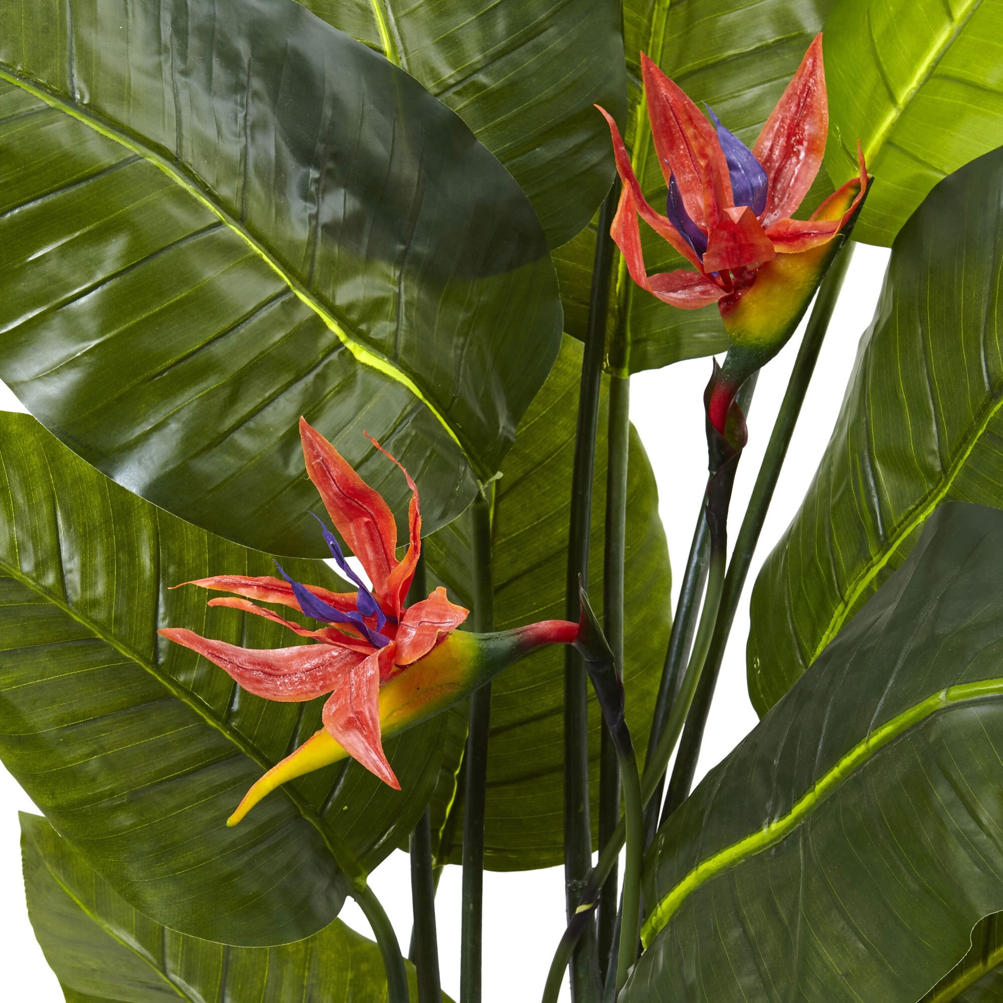 Nearly Natural 58" Bird of Paradise Plant (Real Touch) in Green