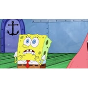 SpongeBob SquarePants First 100 Episodes (DVD)