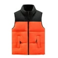 thumbnail image 2 of Ftwytp Womens Plus Size Sleeveless Puffer Jacket Hoodless Gilet Body Warmer Jackets Stand Collar Color Blocked Warm Portable Windproof Jacket Vest, 2 of 3