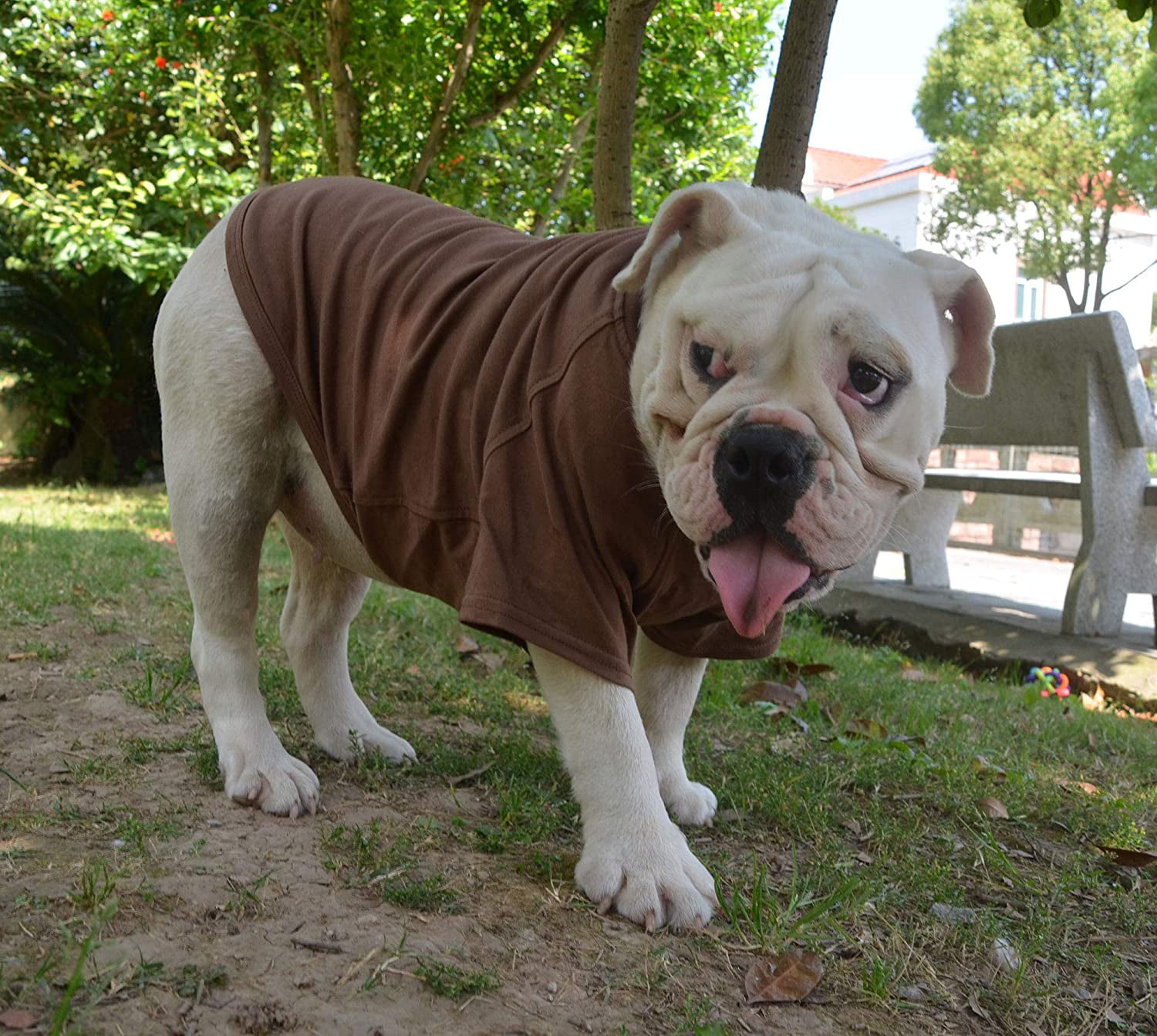 Lovelonglong Bulldog Clothes Dog Clothing Blank T-Shirt Tee Shirts for French Bulldog English Bulldog American Pit Bull Pugs 100% Cotton Skin Care Black B-XL