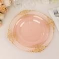 thumbnail image 3 of BalsaCircle 10 Transparent Blush  Round 8" Disposable Plastic Salad Dinner Plates Gold Embossed Baroque Trim Party Events Decorations, 3 of 8