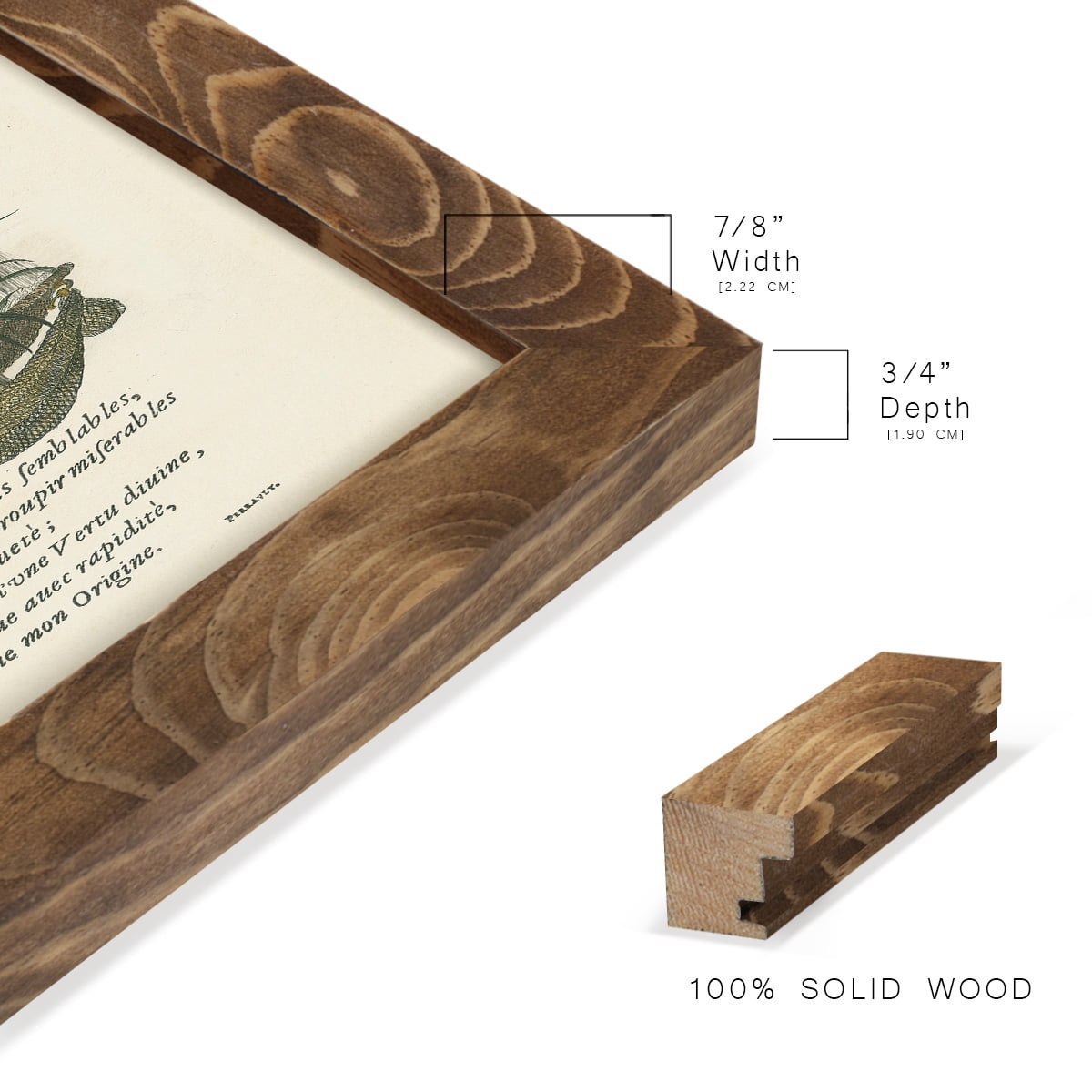 Printed Embellished Bookplate II - Framed Print w/glass - Walnut
