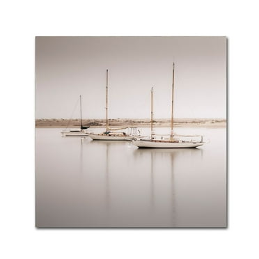 Trademark Fine Art "Three Boats" Canvas Art by Moises Levy