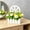 B, variant on Farmhouse Wall Hanging Planter with Artificial Flowers, Rustic Faux Greenery Decor for Living Room Kitchen Porch Balcony and Garden 8.66x6.3x3.15in