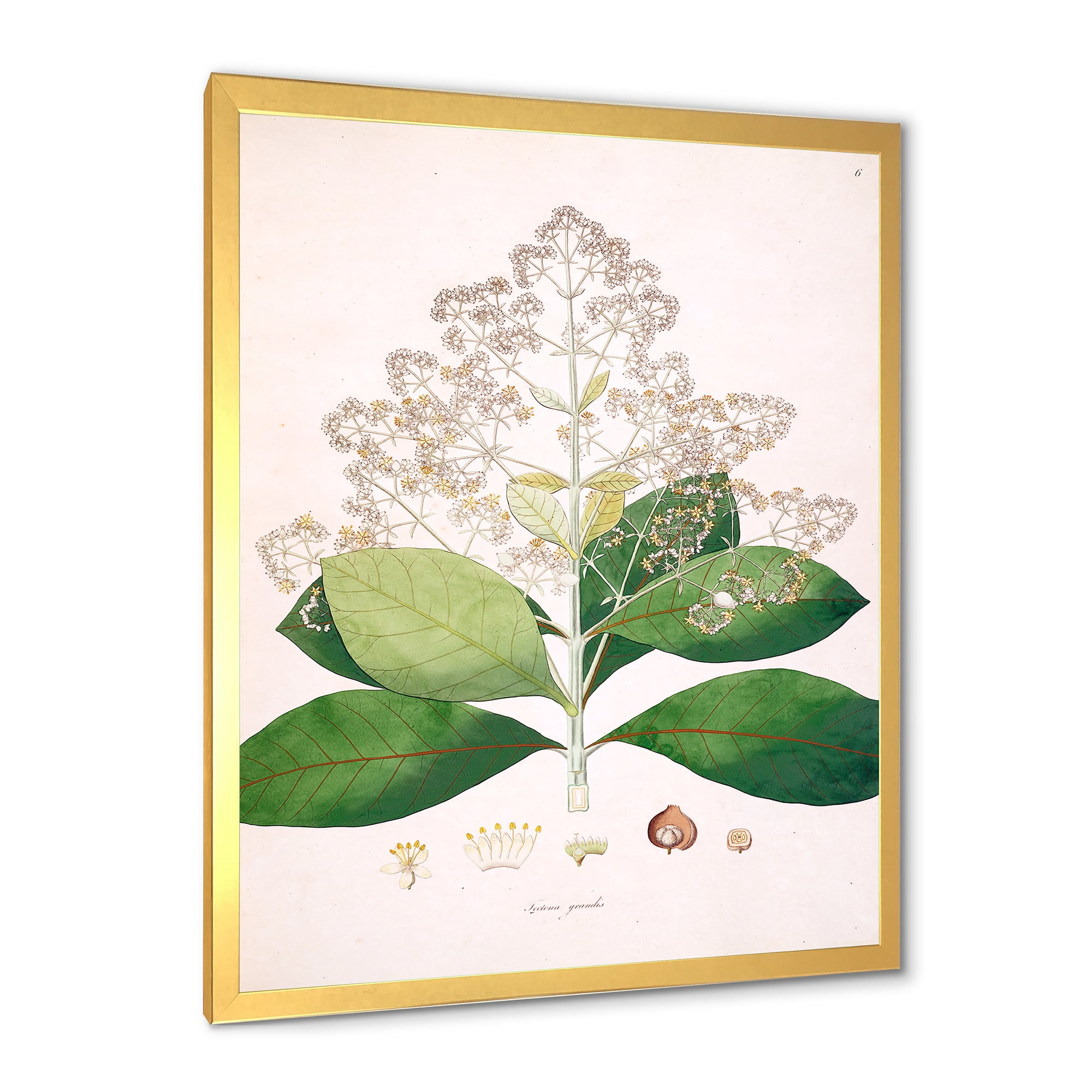 Designart 'Ancient London Plants III' Farmhouse Framed Art Print