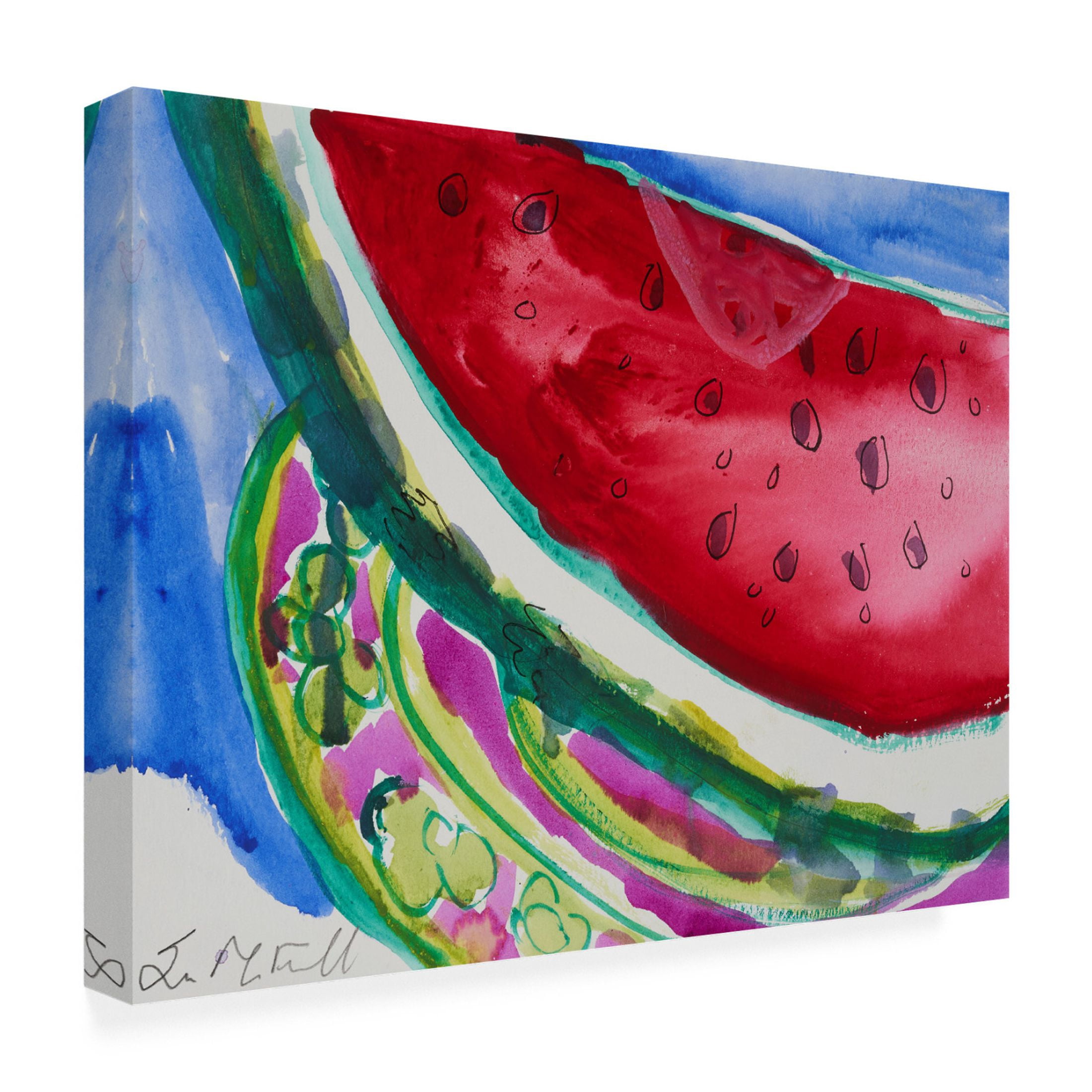 Canvas Wall Art - Erin McGee Ferrell 'Watermelon VI' Wall Art for Living Room, Bedroom, or Office Décor by Trademark Fine Art - 19 x 14 Inches
