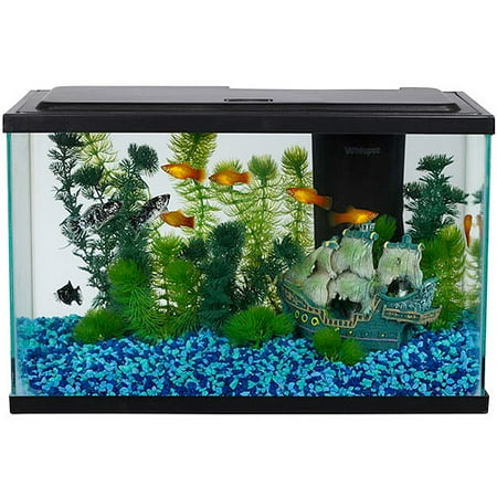 Aqua Culture 5 Gallon Aquarium Starter Kit with LED ...