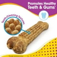 thumbnail image 5 of Nylabone Nubz Bacon Dog Chew Treats Jumbo - Up to 50 lbs. (2 Count), 5 of 12