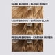 thumbnail image 3 of Kit de decoloración para cabello L'Oreal Paris Colorista Hair Color, 3 of 8