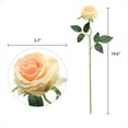 thumbnail image 4 of Artificial Silk Rose Flower Bouquet Lifelike Fake Rose for Wedding Home Party Decoration Event Gift 10pcs (Black), 4 of 5