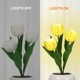 thumbnail image 5 of pequeña luz de noche Lámpara de tulipán lámpara de mesa decorativa para interiores lámpara de maceta luz nocturna ambiental regalo planta en maceta Neoglint  pequeña luz de noche, 5 of 7