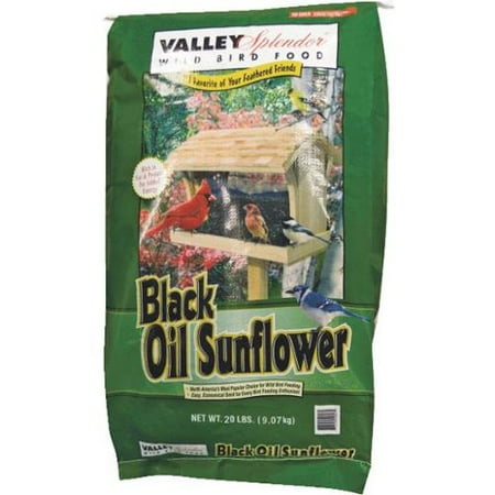 black sunflower seeds walmart valley splendor black sunflower seed walmart black sunflower seeds walmart valley splendor black sunflower seed walmart