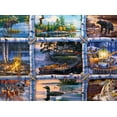 thumbnail image 4 of Buffalo Games - Darrell Bush - North Country - 1000 Piece Jigsaw Puzzle, 4 of 5