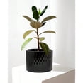 thumbnail image 6 of Ceramic Plant Pot with Stand 10 Inch Planter with Wood Shelf Modern Round Flower Pots Indoor with Wood Planter Holder Black Water Ripple Pattern, 6 of 8