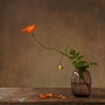 thumbnail image 2 of Bunkova, Galina 15x15 White Modern Wood Framed Museum Art Print Titled - A Story With Orange Poppies, 2 of 4