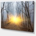 thumbnail image 2 of Rayons de Soleil Jaunes dans la Forêt Brumeuse, 2 of 3
