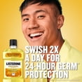 thumbnail image 3 of Listerine Original Antiseptic Mouthwash For Bad Breath & Plaque Original, 3 of 3