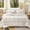 Beige Gray Ruffle 01, variant on Green Ruffle Duvet Cover Queen 3Pcs Shabby Chic Farmhouse Bedding Set Girls 100% Washed Microfiber Duvet Cover Set Boho Vintage Ruffled Bedding with 2 Pillowcases(No Comforter)