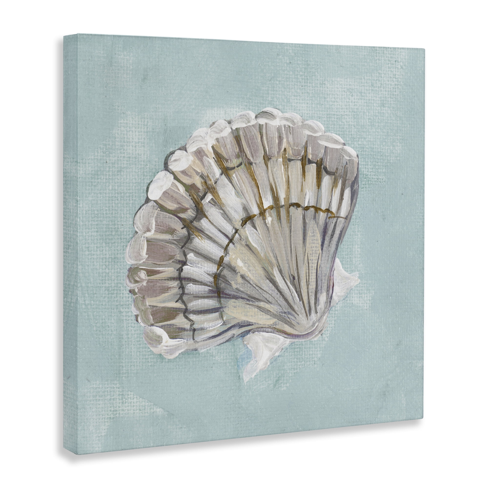 Stupell Industries Brushed Clam Shell Coastal Painting Gallery Wrapped Canvas Art Print Wall Art, 36 x 36
