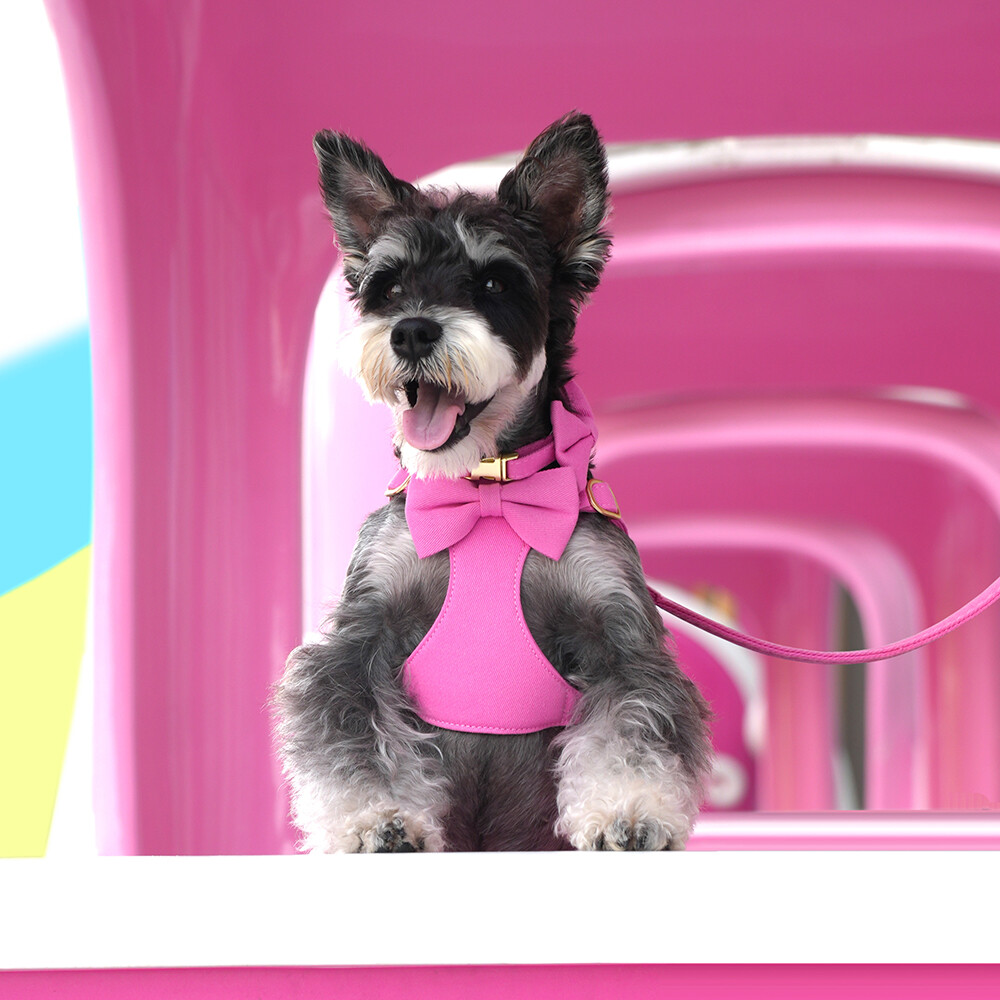 Pet Artist 4pcs Cute Bowtie Dog Harness and Collar and Leash and Poo Bag Holder Adjustable Pet Puppy Cat Vest