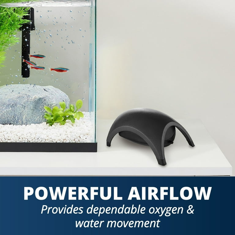 Most powerful aquarium air pump 2025