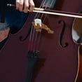 thumbnail image 4 of LABSERRON Zinc Alloy Violoncello For Tone Preservation 1Pc, 4 of 6