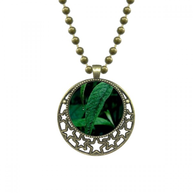 Planta de hoja de la fotografia de naturaleza Colgante Estrella Collar Luna Cadena Joyas Unbranded M