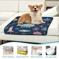 thumbnail image 6 of RMDQTR 3Pack Set of Small Pet Potty Pads Reusable Ultra-Absorbent Pet Training Pads Leak-Proof Pet Pads Maritime Paradise, 6 of 7