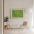 thumbnail image 3 of Clover all Over - Marshall Michigan Photography Nature Botanical Garden Floral Pattern Wilderness Scenic Unframed Wall Art Print 6 x 8 inches, 3 of 7