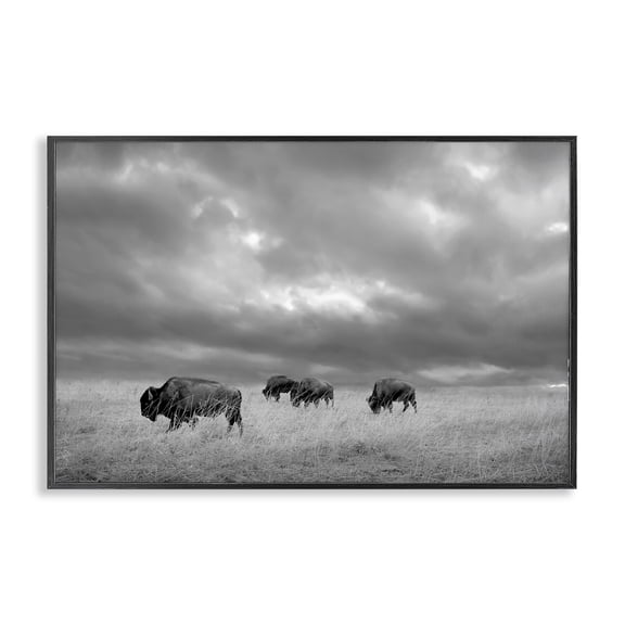 Stupell Industries Bisons Under an Autumn Sky Black Framed Giclee Art, design by Steve Toole