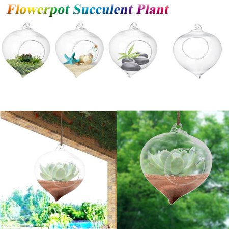 Yosoo Flowerpot Succulent Plant Container Hanging Glass Vase Home