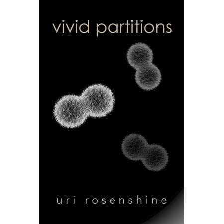 Vivid Partitions (Paperback)