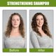 thumbnail image 5 of Personalización Champú para la regeneración y caída del cabello, espesamiento rápido, limpieza profunda de los folículos pilosos, fortalecimiento del cabello, de nutriciónCalidadExperiencia de usuari, 5 of 8