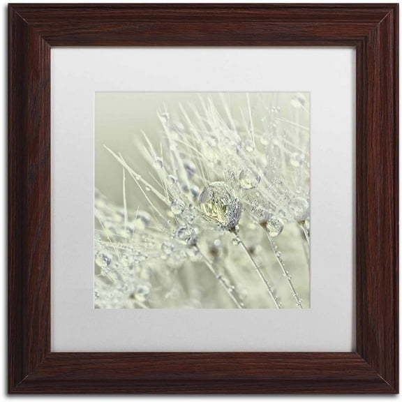 Trademark Fine Art 'Dandelion Dew III' Canvas Art by Cora Niele, White Matte, Wood Frame