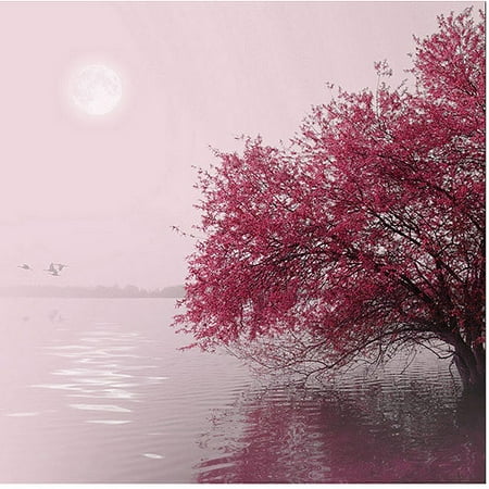 Trademark Art "Full Moon on the Lake" Canvas Art by Philippe Sainte-Laudy