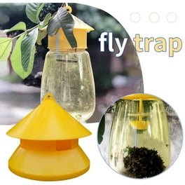 Cone Trap for Fruit Flies: Effective DIY Pest Control Solution