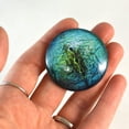 thumbnail image 5 of Reptile Glass Eyes Bundle - 5 Pairs, 5 of 7