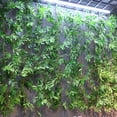 thumbnail image 2 of Toystoory Hojas ricas artificiales hierba hoja falsa follaje verde planta decoración del hogar Kits de decoración para fiestas No.03, 2 of 6