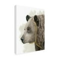 thumbnail image 2 of Trademark Fine Art 'Timberland Friend II' Canvas Art by Grace Popp, 2 of 3