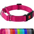 thumbnail image 1 of Collar para perro Joytale Martingale M rosa intenso a prueba de escape, 1 of 6