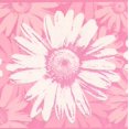 thumbnail image 1 of Abstract Rose Pink White Flowers Wide Wallpaper Border Paint by Design, Roll 15' x 9'', 1 of 3
