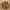 Brown, variant on PatPat Kid Girl Childlike Expression Letter Hooded Coat