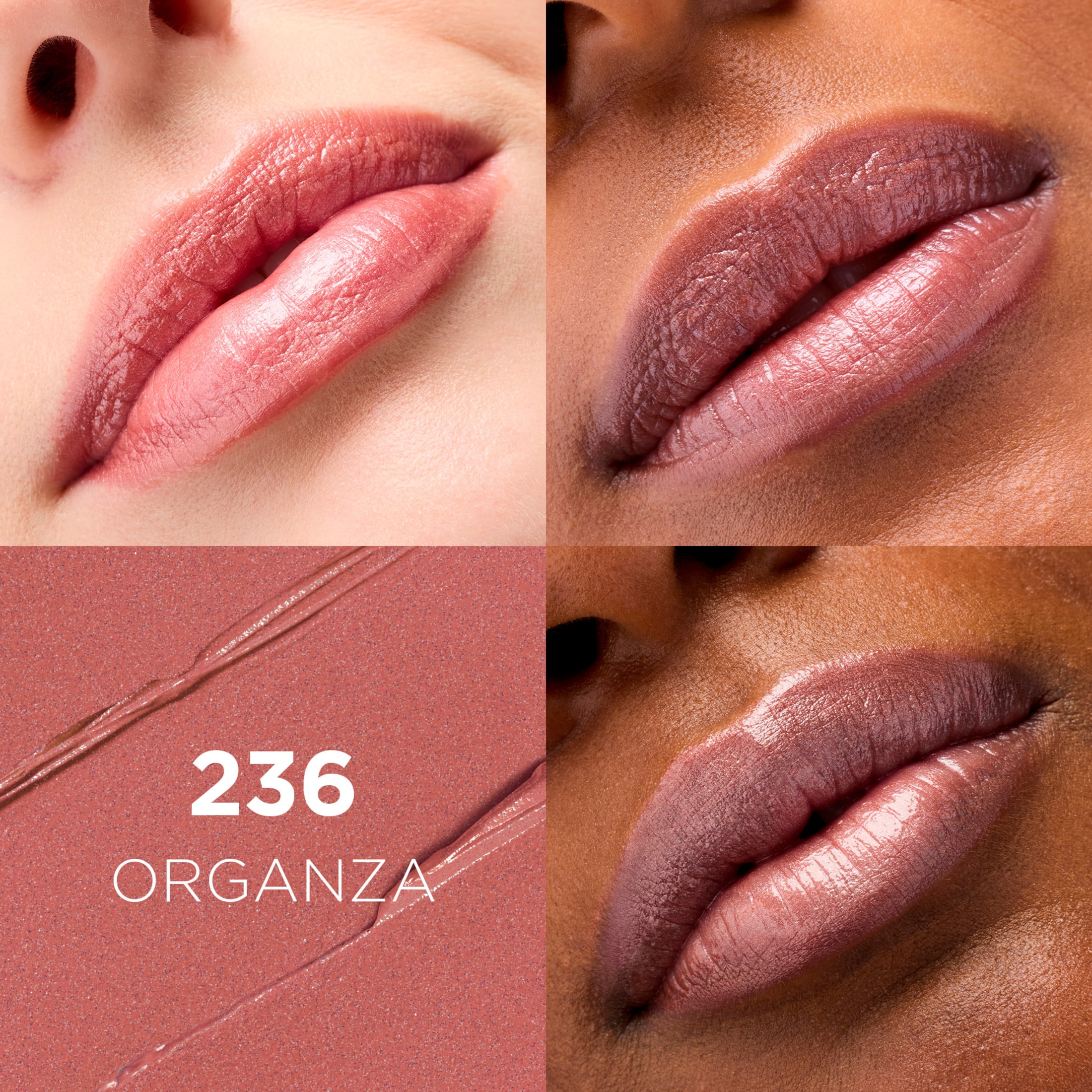 L'Oreal Paris Colour Riche Original Satin Lipstick, Makeup with Argan Oil and Vitamin E, Organza