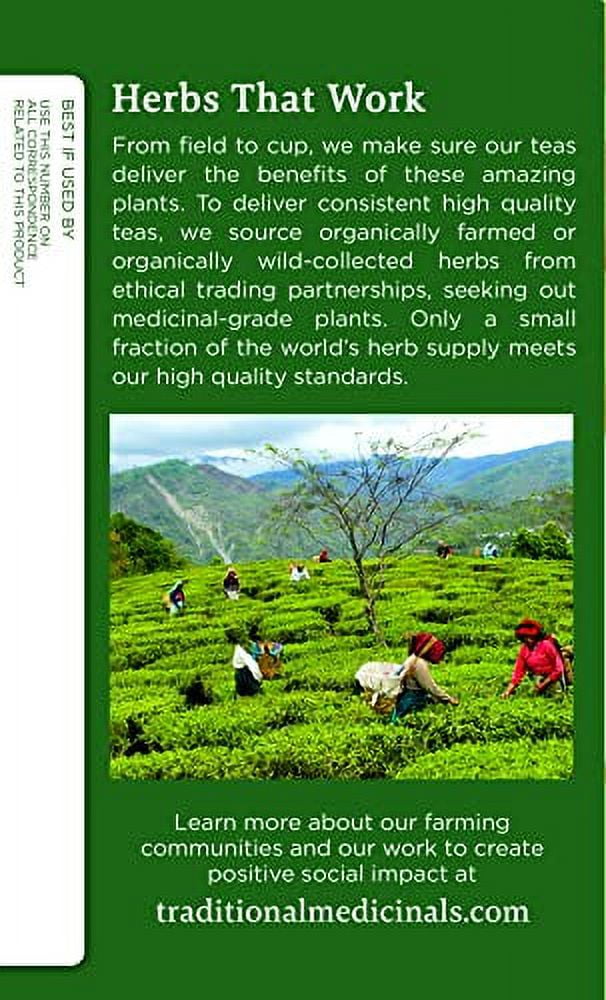 (3 pack) Traditional Medicinals Organic Ginger & Chamomile Herbal Tea, Relieves Occasional Indigestion or Nausea, (Pack of 1) - 16 Tea Bags