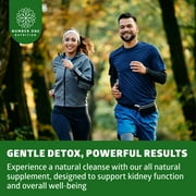 N1N Premium Kidney Cleanse [21 Potent Herbs] for Urinary Tract & Bladder Control, Natural Kidney Support with Cranberry Extract, Astragalus and Uva Ursi Leaf, 60 Veg Caps