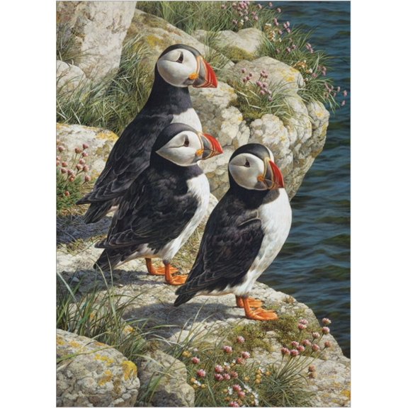 Cobble Hill 500 Piece Puzzle - Fisherman's Wharf - Sample Poster Included
