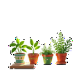 thumbnail image 6 of Vintage Gardening Stickers, Waterproof Plants Sticker for Water Bottle Laptop Phone Cases Planner Skateboard Luggage Helmet Party Favor Decor, Ideal for Adults Teens Teacher Rewards, 6 of 8