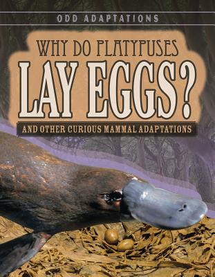platypus lay eggs platypus lay eggs