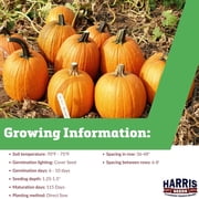 Harris Seeds Howden Pumpkin, Connecticut Field Type with Deep Orange Fruits, 1 oz